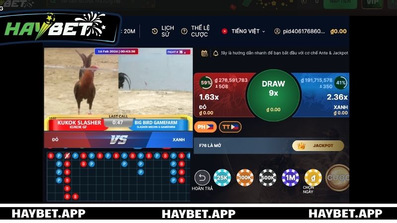 Các cửa cược đá gà phổ biến tại nhà cái HAYBET