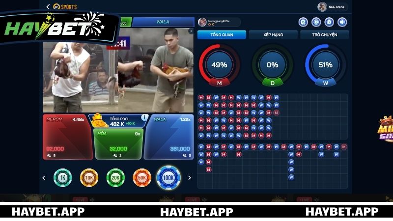 Các hình thức đá gà phổ biến nhất HAYBET