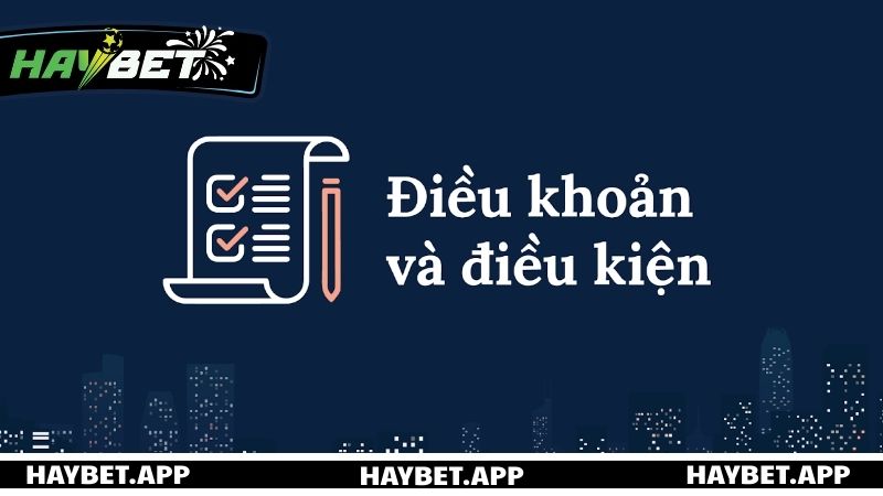 Điều khoản và điều kiện HAYBET về chủ thể tham gia