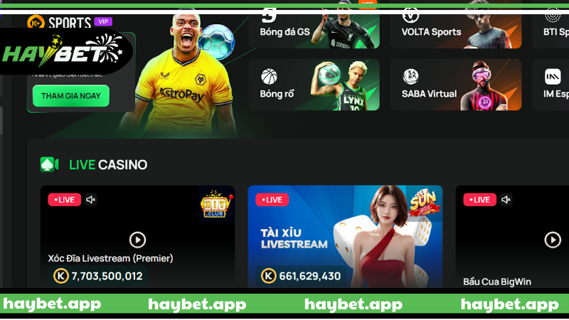 Trang chủ Định hướng phát triển trong tương lai của HAYBET