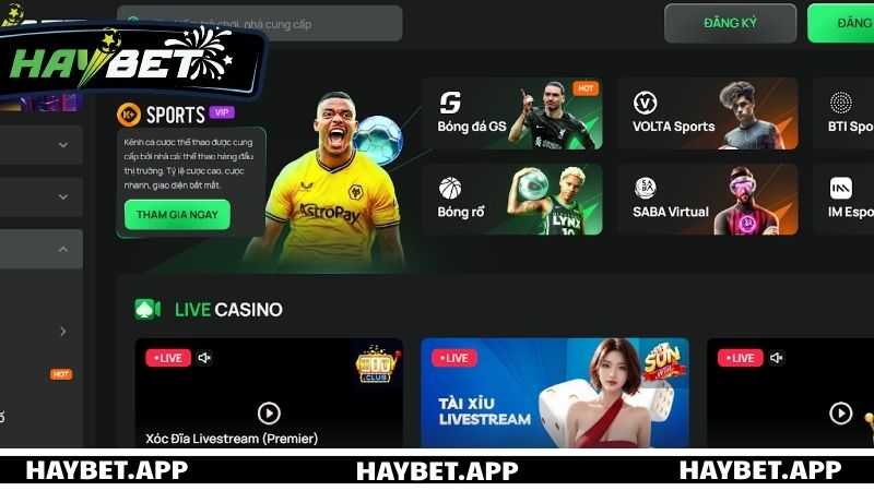 Giới thiệu các lợi ích khi tải app HAYBET về trải nghiệm