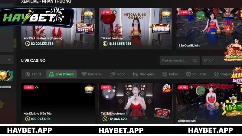 Giới thiệu sảnh cược live casino tại HAYBET