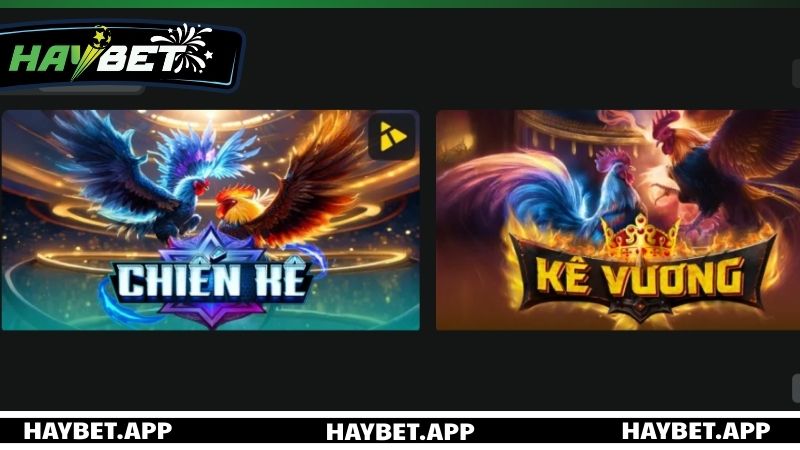 Giới thiệu sơ lược về sảnh đá gà HAYBET