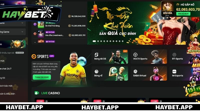 Giới thiệu tổng quan sảnh cược Thể thao tại HAYBET