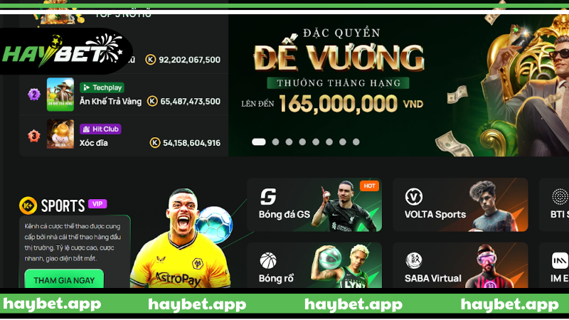 Trang chủ Giới thiệu tổng quan về HAYBET