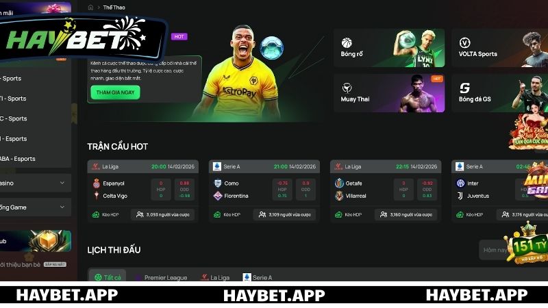Top những sảnh cược Thể thao uy tín tại HAYBET