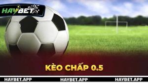Giới thiệu kèo chấp 0.5