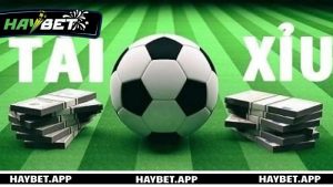 Khái niệm cơ bản về kèo cược Tài Xỉu trong cá cược bóng đá