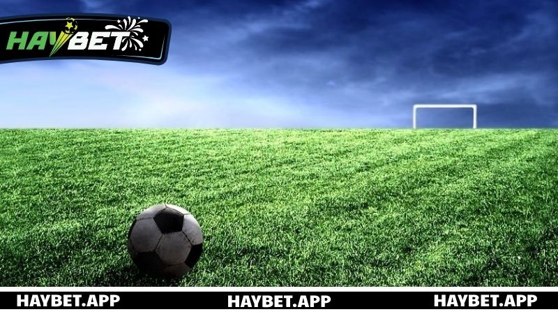 Kinh nghiệm soi kèo Tài Xỉu bóng đá hiệu quả, nâng cao tỷ lệ thắng 